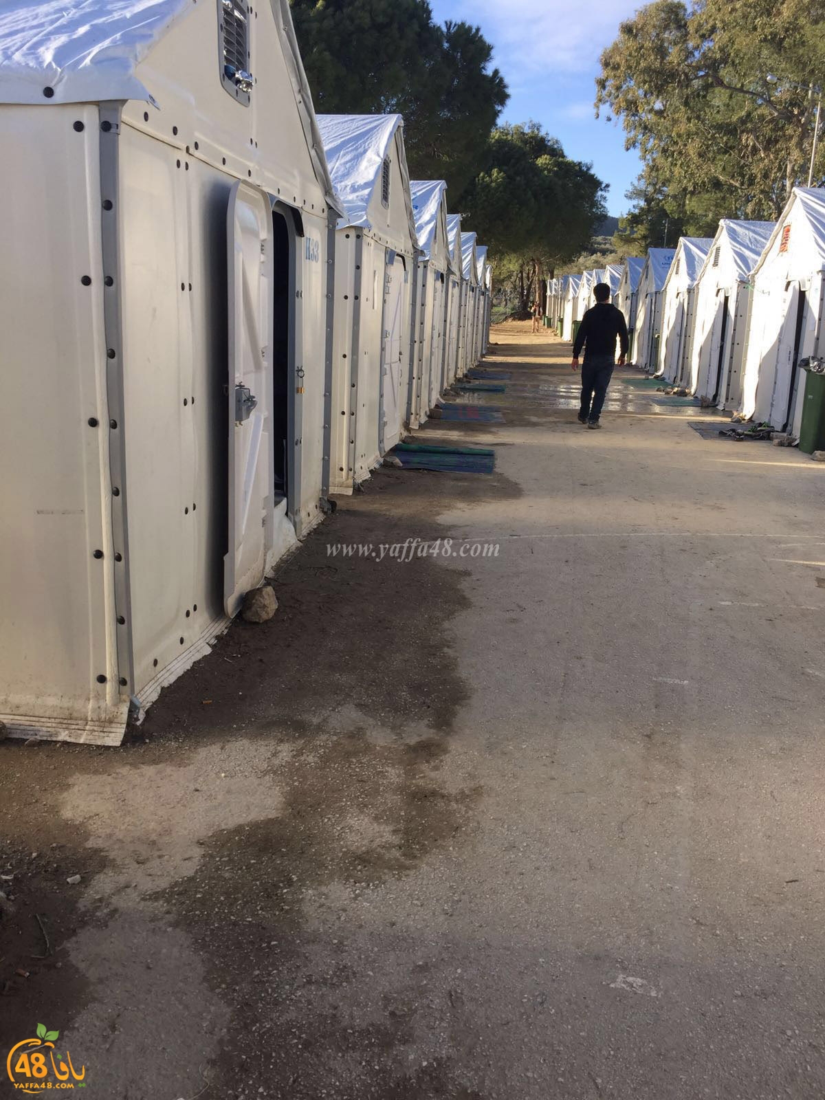 noashata2sa (12).jpg